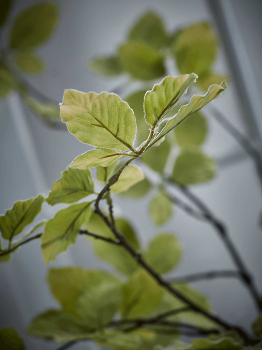Three Faux Birch Leaf Branches