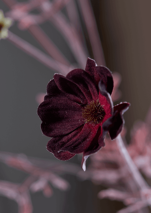 Three Faux Cosmos - Burgundy