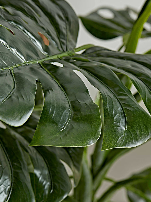 Faux Potted Monstera - Large