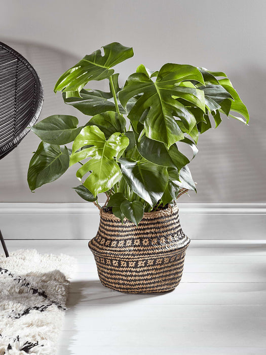 Woven Seagrass Basket