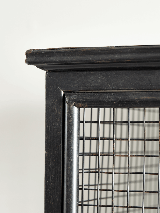 Industrial Iron & Wire Cabinet