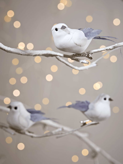 Twelve Grey Feathered Birds