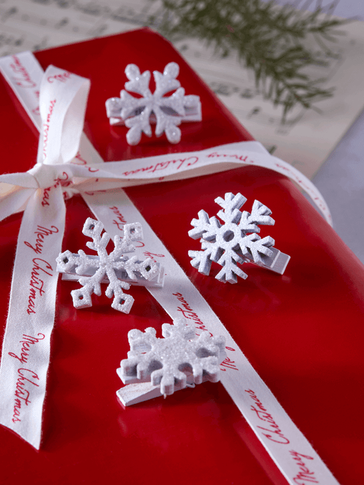Twelve Snowflake Pegs