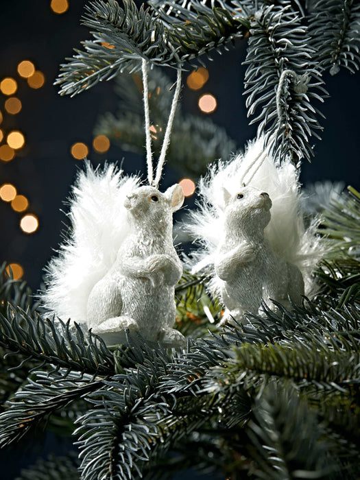 Two Hanging Squirrels