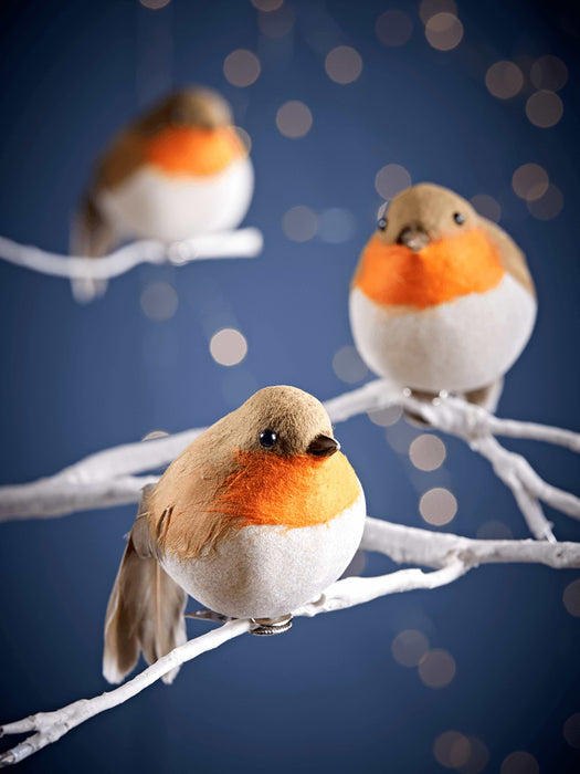 Three Jolly Robin Clips