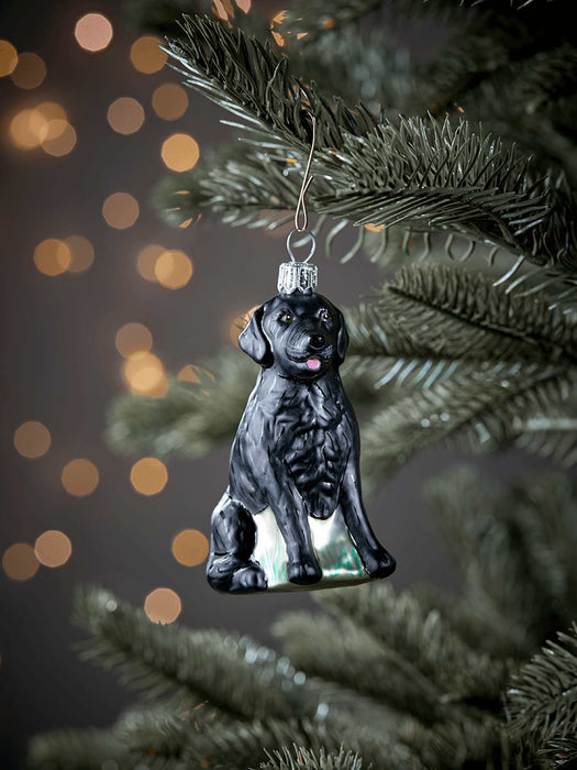 Handblown Glass Decoration