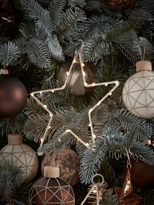 Indoor Outdoor LED Star Silhouette Light