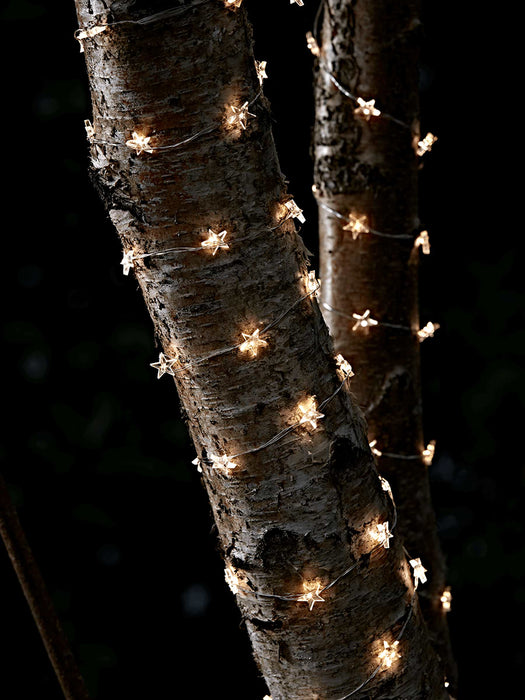 Indoor Outdoor Starry Naked Wire Lights