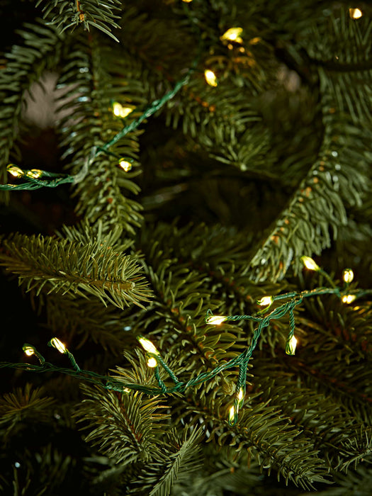 Indoor Outdoor Naked Wire Compact Lights - Green