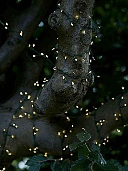 Indoor Outdoor Naked Wire Compact Lights - Green