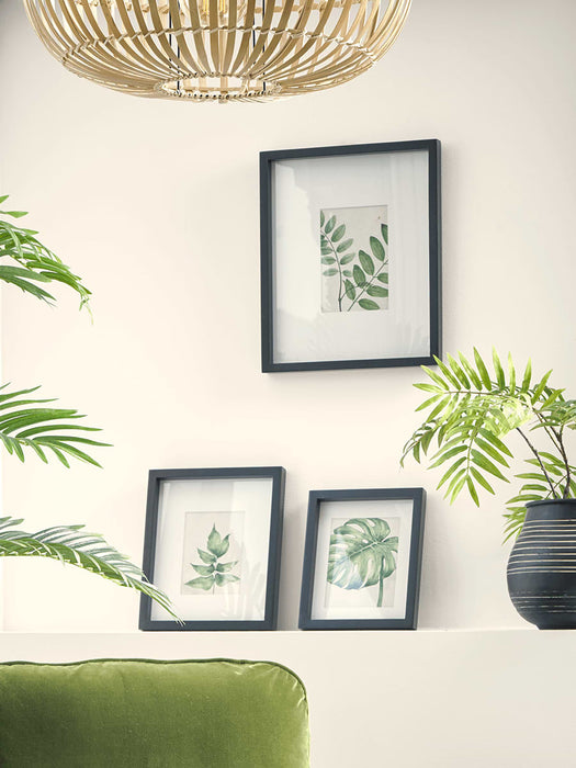 NEW Three Framed Botanical Prints