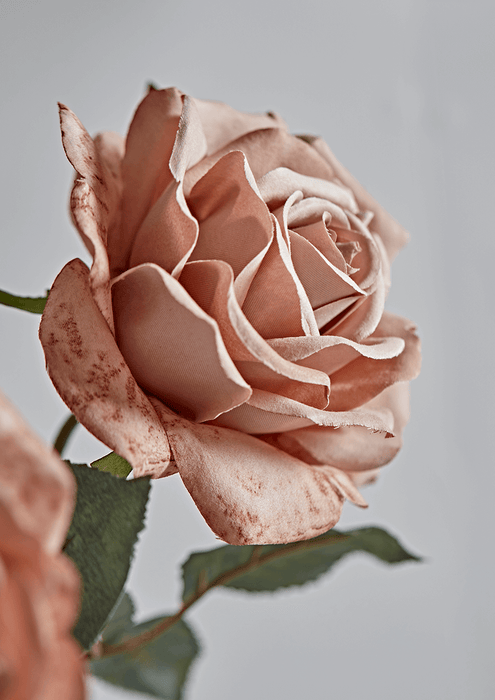 Three Faux Rose Stems - Dusky Blush