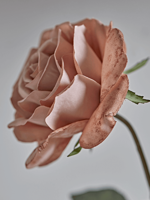 Three Faux Rose Stems - Dusky Blush