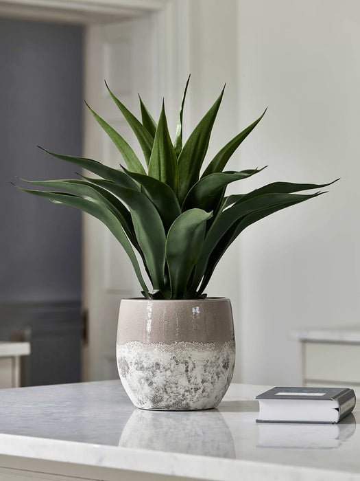 Dipped Terracotta Planter - Blush