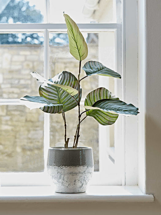 Dipped Terracotta Planter - Grey