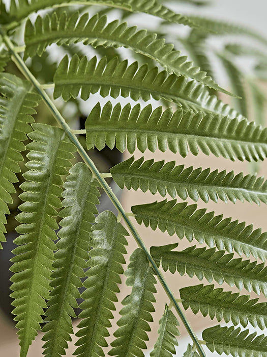 Faux Potted Fern