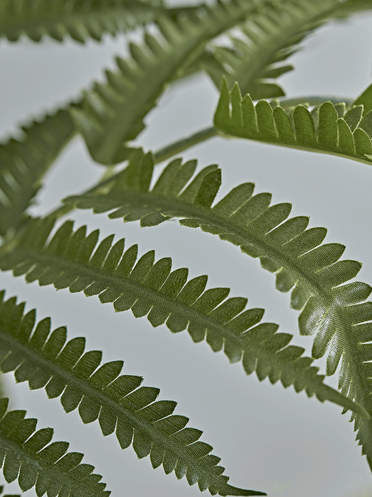 Faux Potted Fern