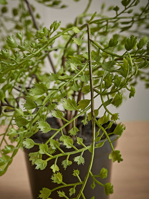 Faux Potted Maidenhair Fern