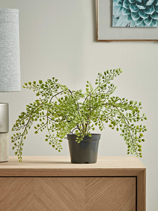 Faux Potted Maidenhair Fern