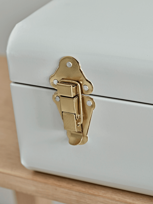 Two Metal Trunks - Grey & Putty