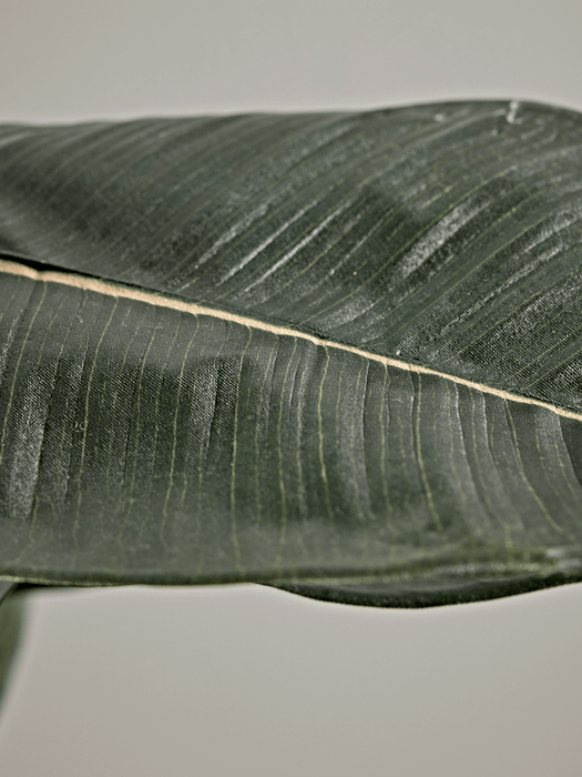 Faux Potted Rubber Plant