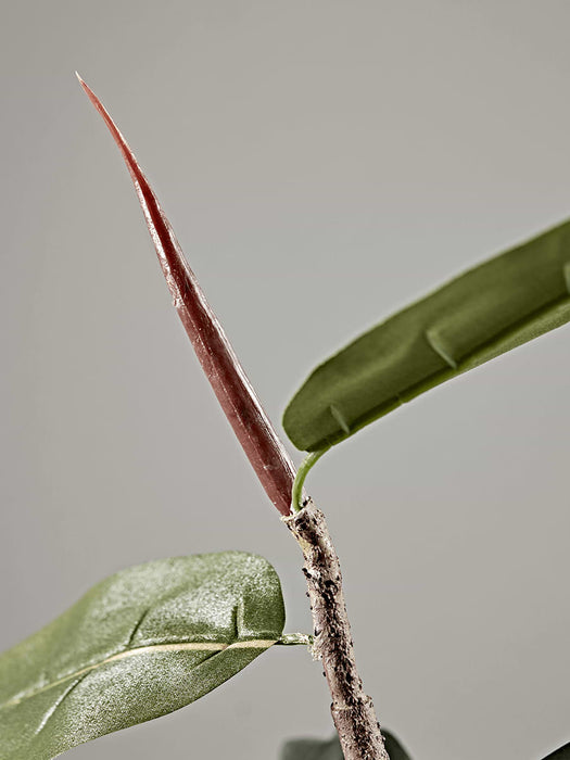 Faux Potted Rubber Plant