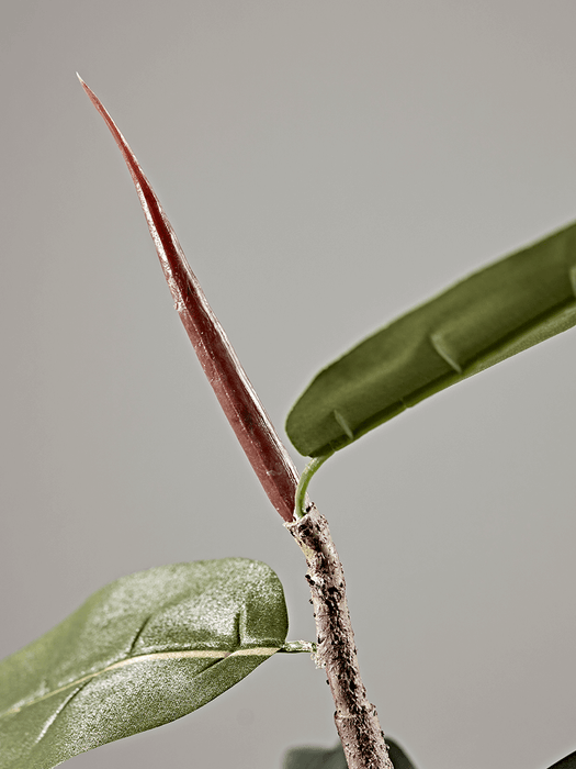Faux Potted Rubber Plant