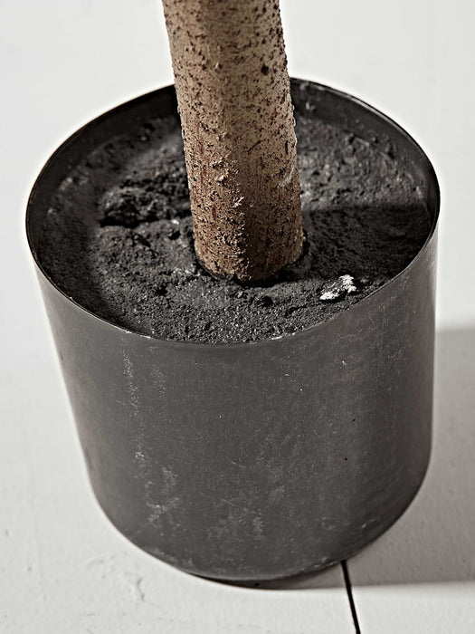 Faux Potted Rubber Plant