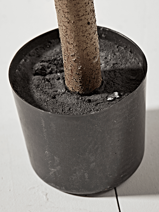 Faux Potted Rubber Plant