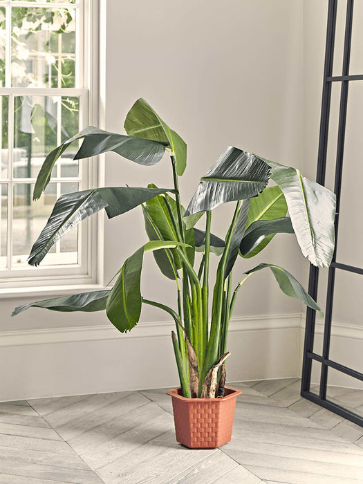 Faux Potted Banana Plant