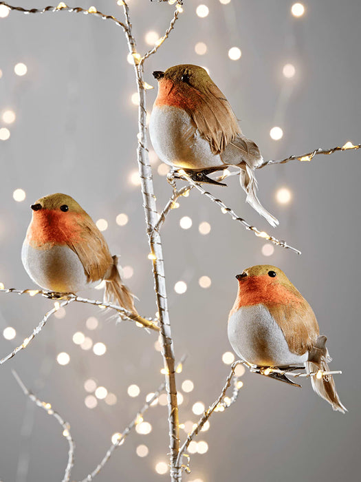 Three Jolly Robin Clips