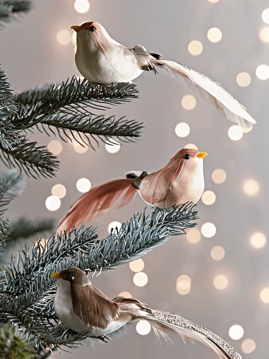 Four Feathered Birds - Blush Mix