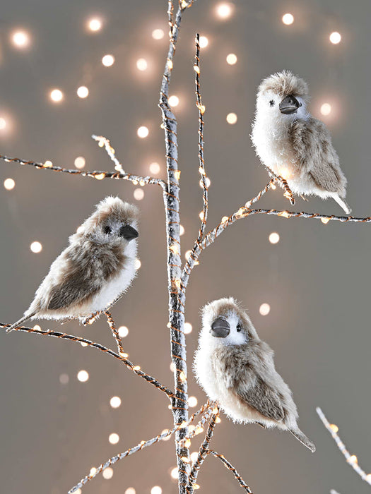 Four Fluffy Bird Clips