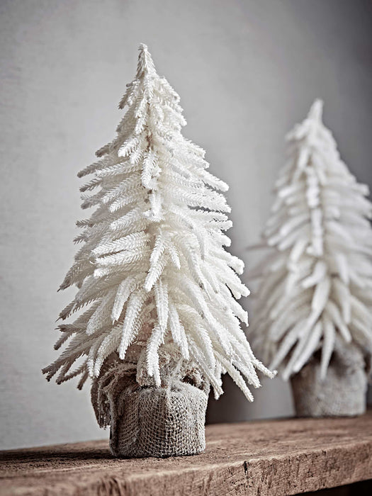 Miniature White Tree
