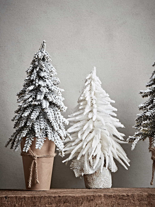 Miniature White Tree