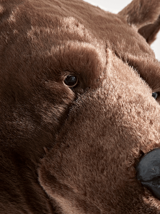 Plush Brown Bear Head