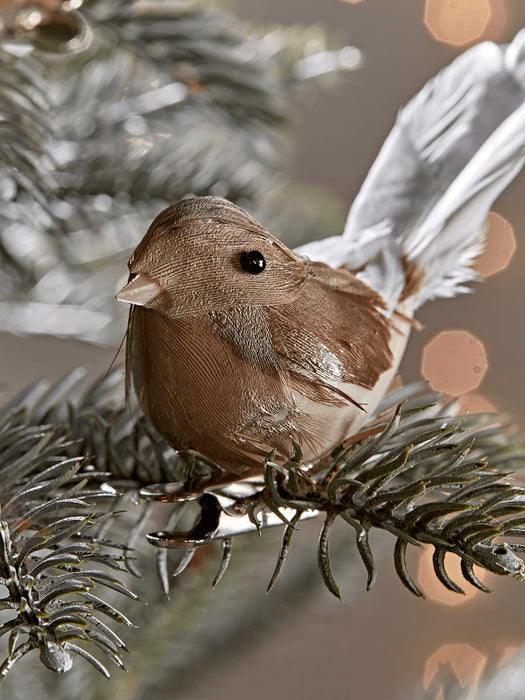 Four Feathered Bird Clips