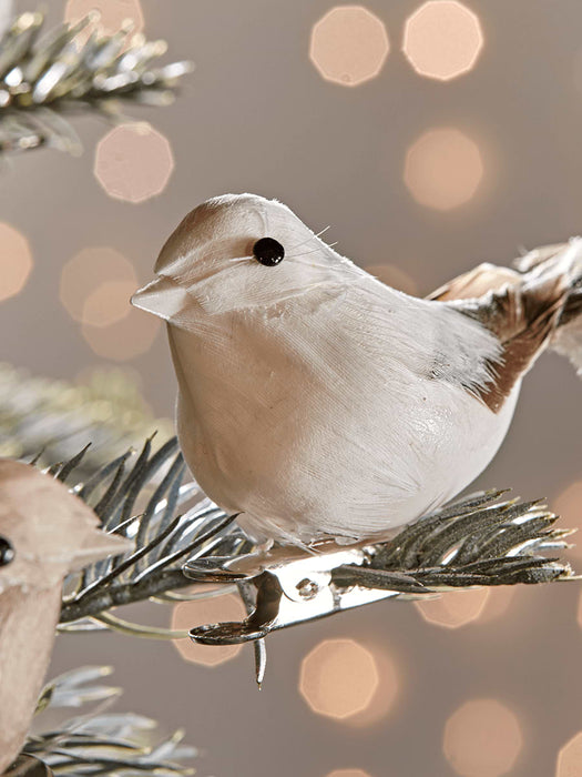 Four Feathered Bird Clips