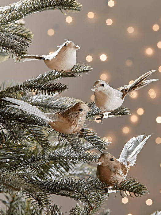 Four Feathered Bird Clips