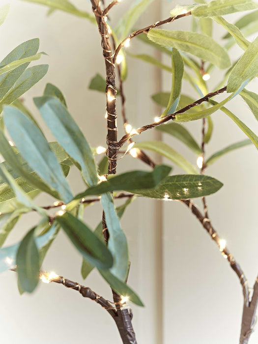 Two Light Up Eucalyptus Sprays