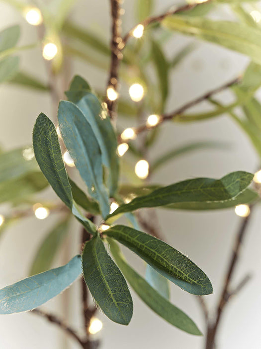 Two Light Up Eucalyptus Sprays