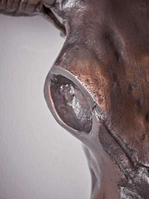 Burnished Aluminium Faux Skull