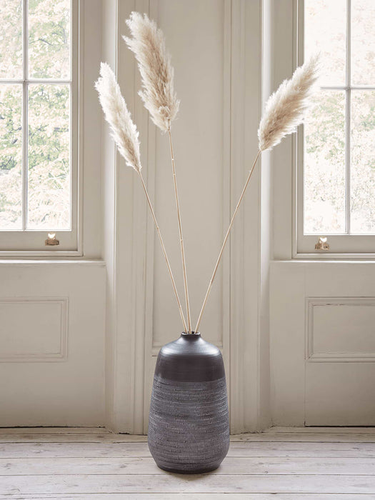 Three Dried Pampas Grasses