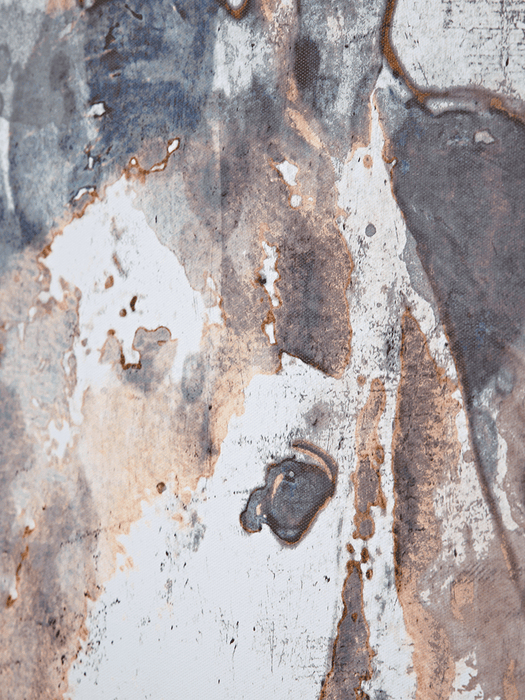 Copper Horse Framed Canvas