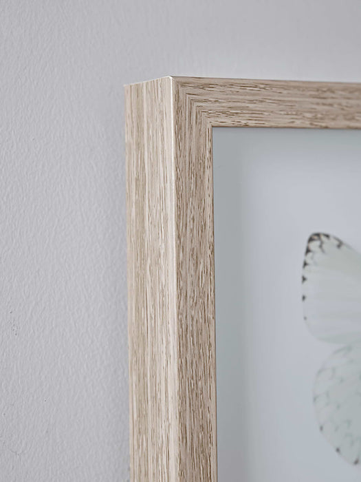 Transparent Butterfly Prints - Grey Mix