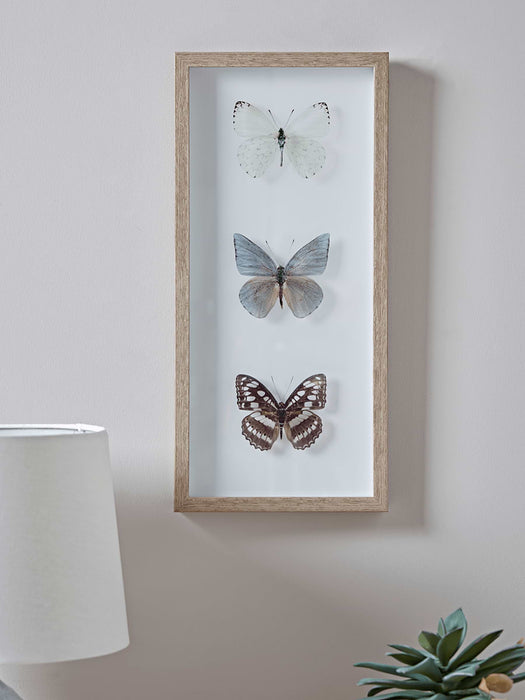 Transparent Butterfly Prints - Grey Mix
