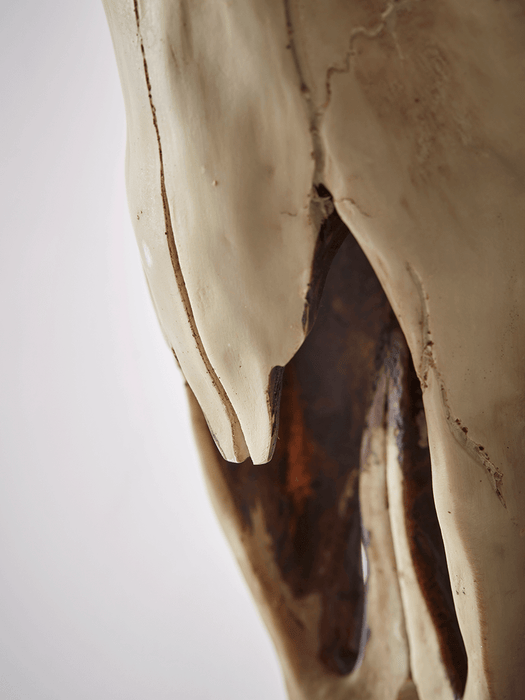 Decorative Faux Buffalo Skull