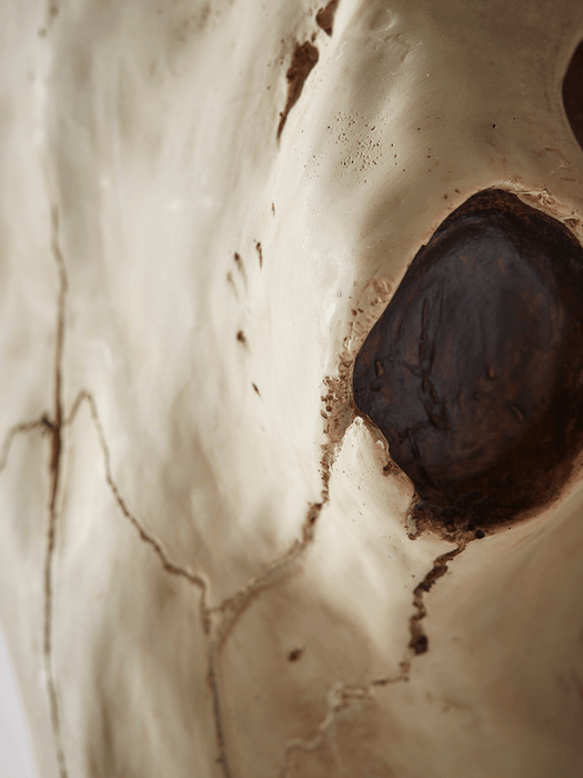 Decorative Faux Buffalo Skull