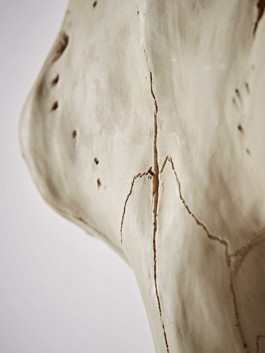 Decorative Faux Buffalo Skull