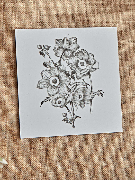 Three Botanical Sketched Prints